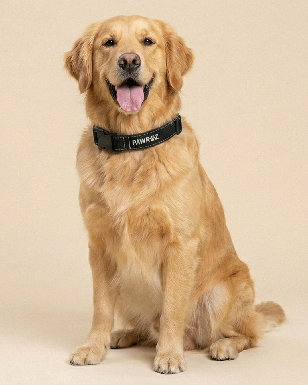 3D Black Canvas White-Stitch collar and Leash