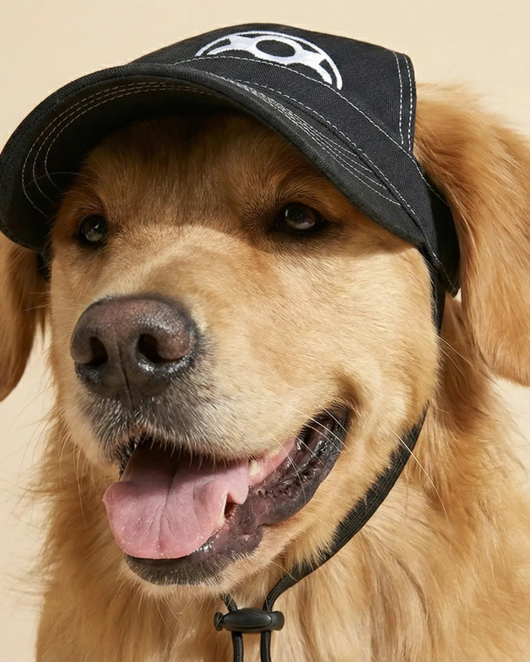Black Contrast Stripe Dog Cap