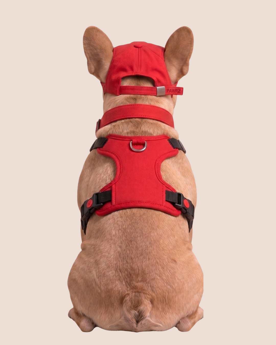 Red Terrain Explorer Harness