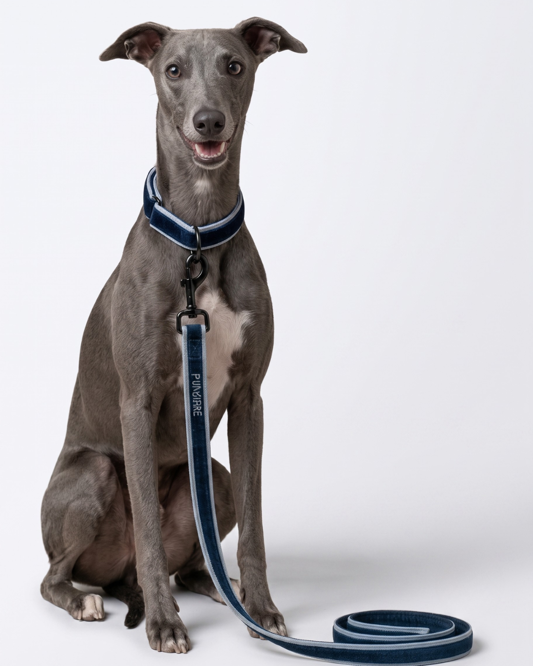 PAWROZ Signature Two Tone Paw Collar and leash