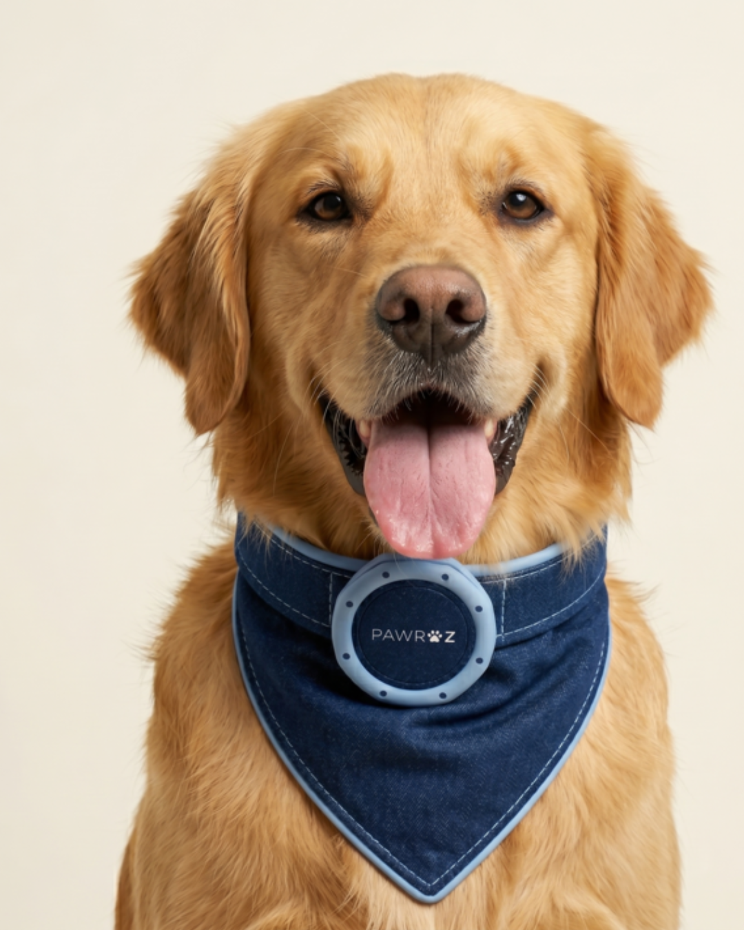 Royal Pup Dog Bandana