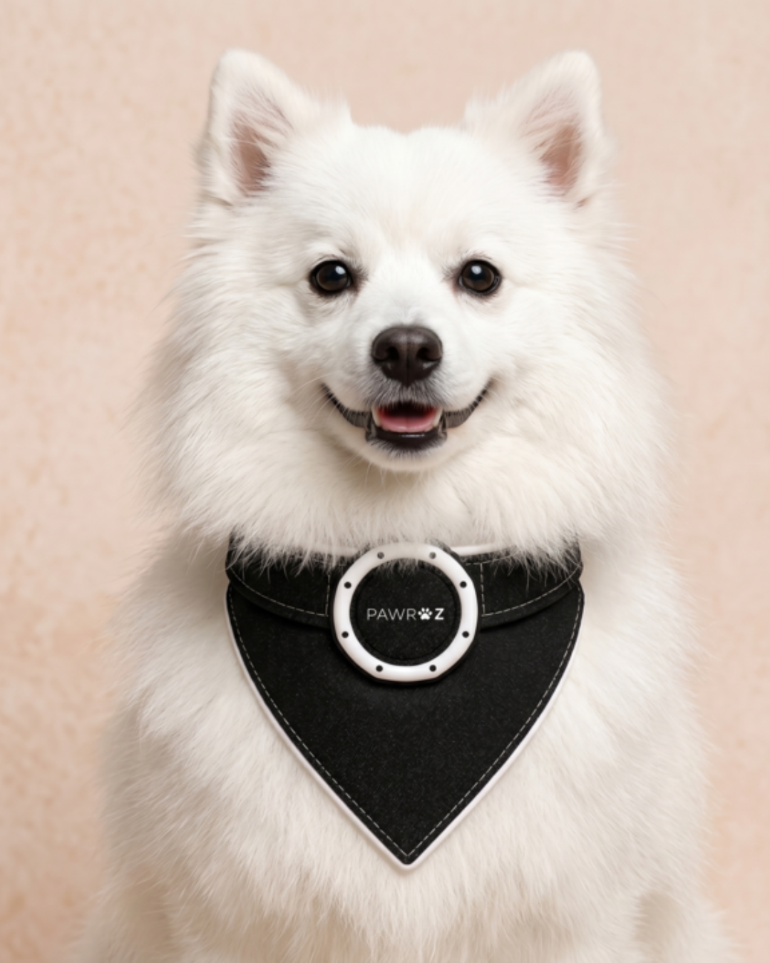 Royal Pup Dog Bandana