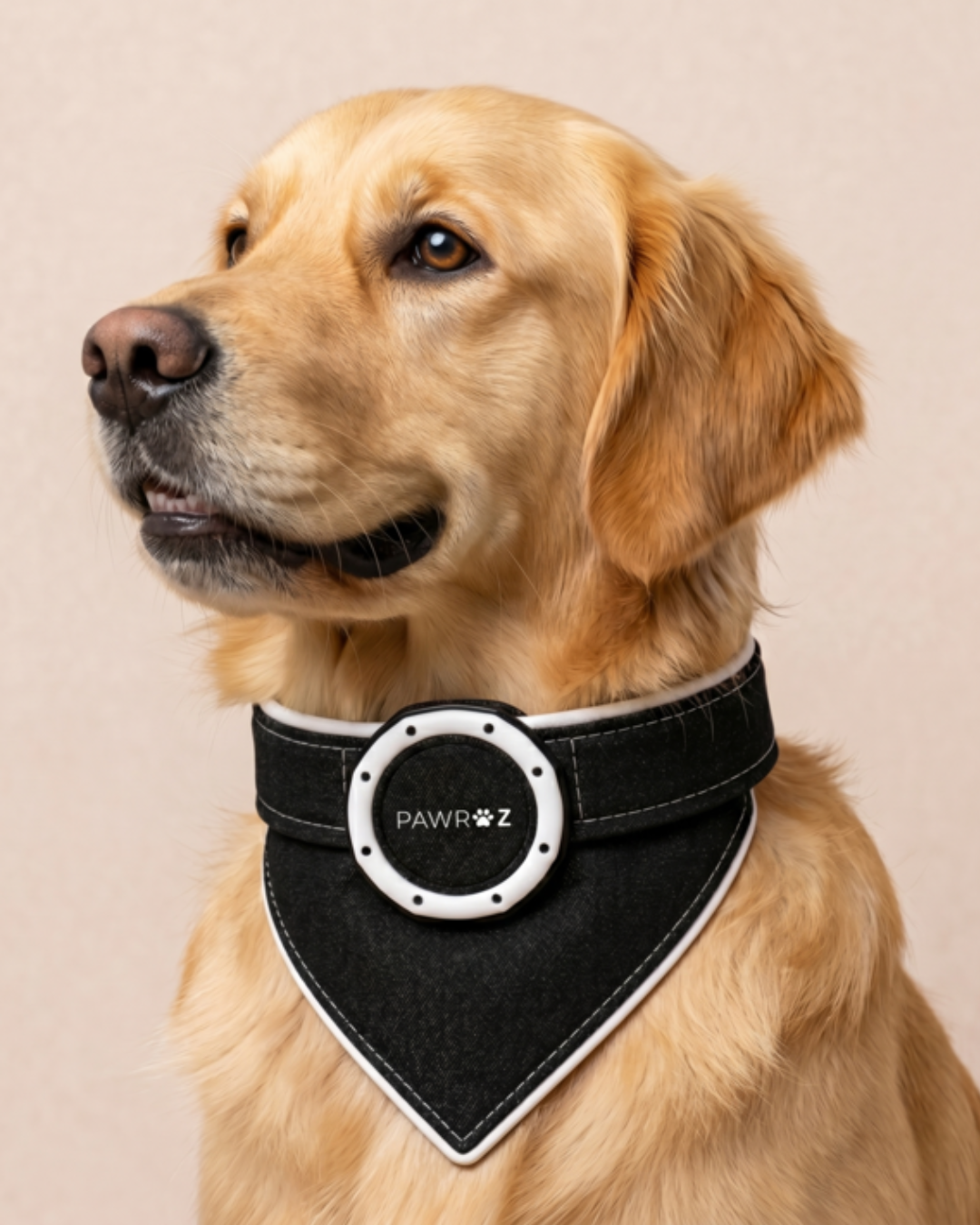 Royal Pup Dog Bandana