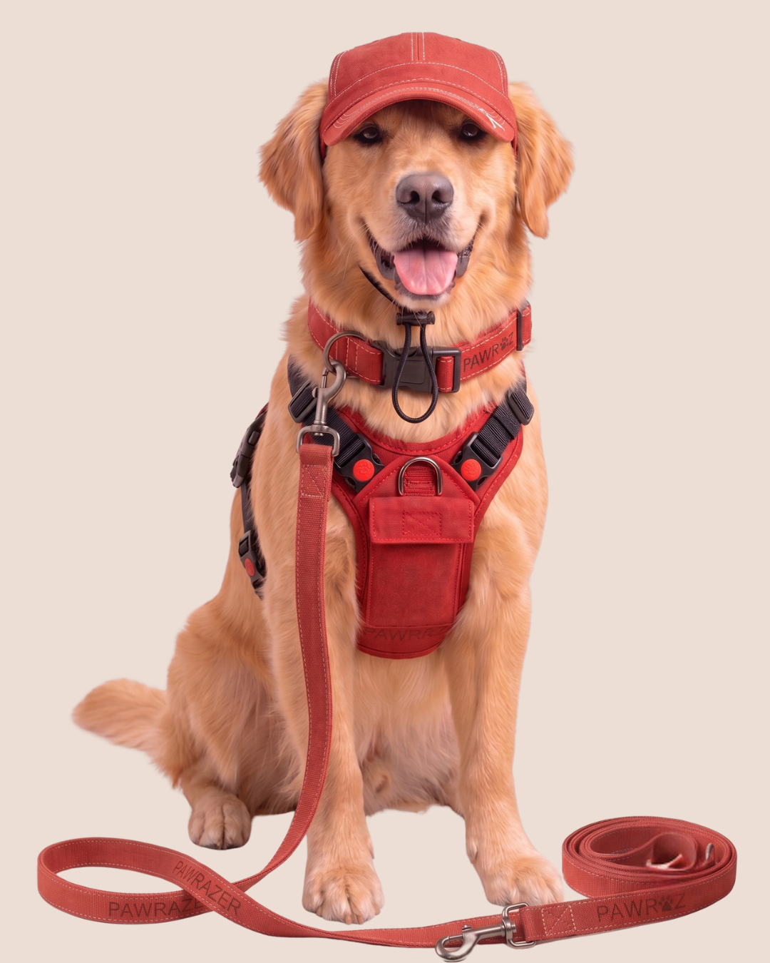 Red Terrain Explorer Collar and Leash