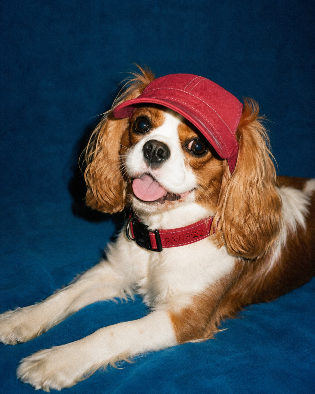 Red Terrain Explorer Cap