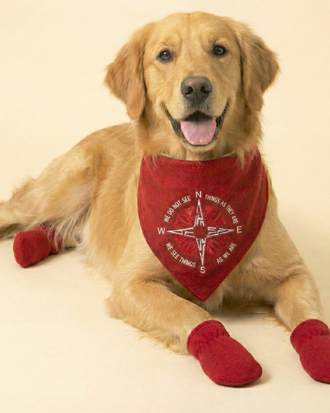 Pawroz Red Compass Bandana & 4 Socks Set
