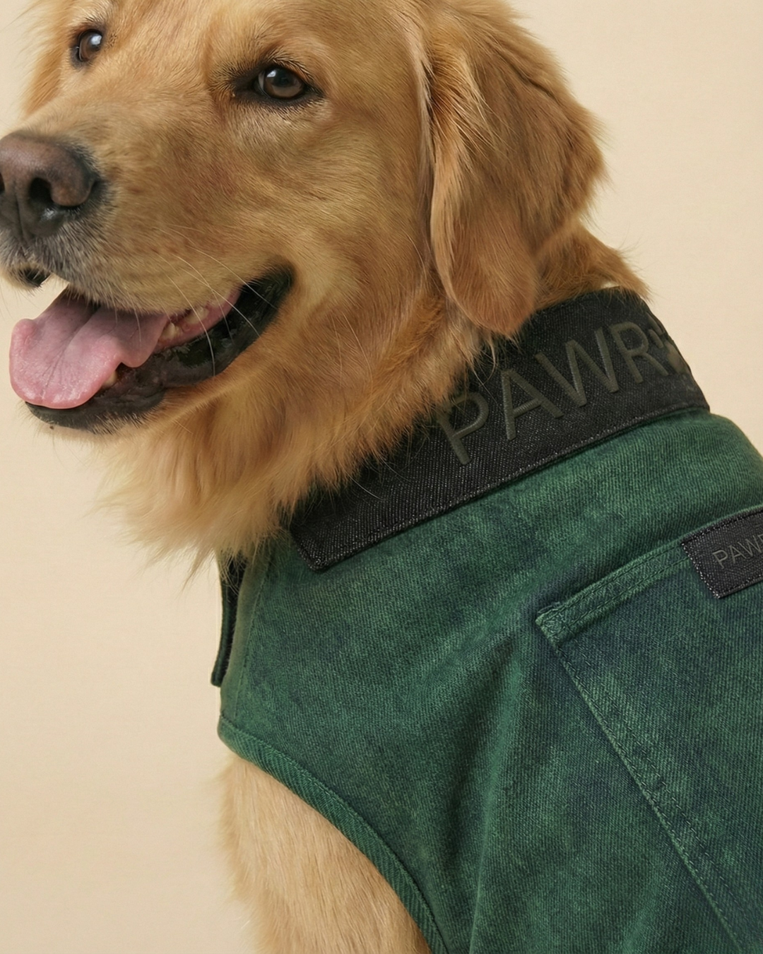 Pawroz Green washed Collar detail Dog Jacket and Bandana set