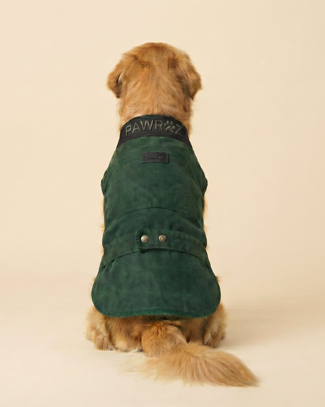Pawroz Green washed Collar detail Dog Jacket and Bandana set