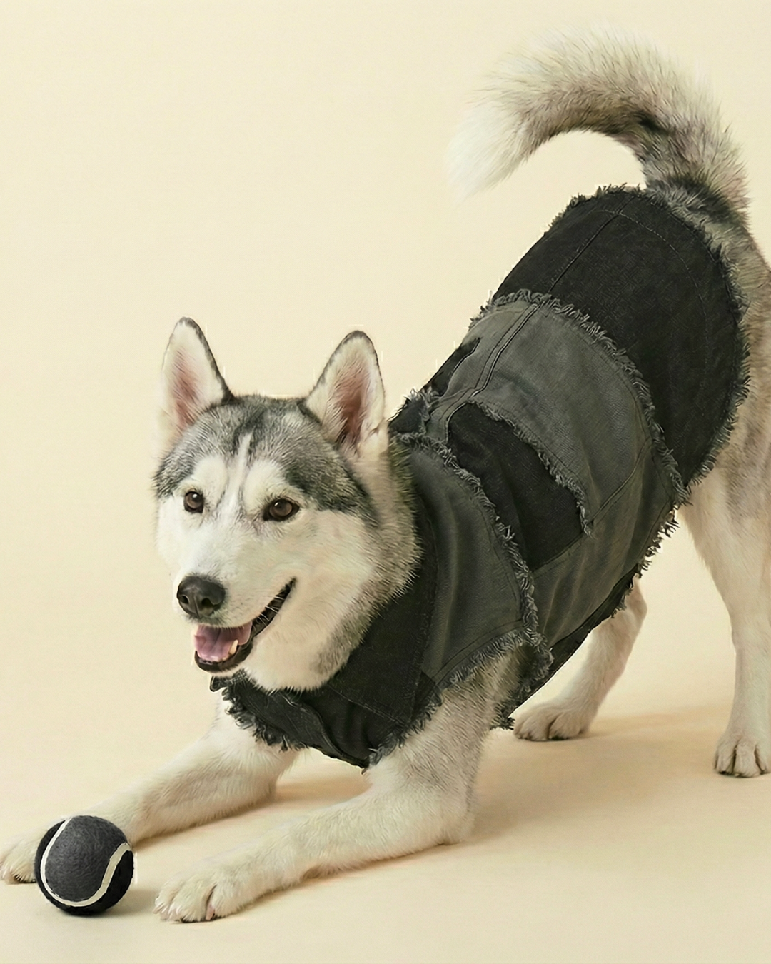 Black and Grey Patched Urban Dog Shaket and Bandana Set