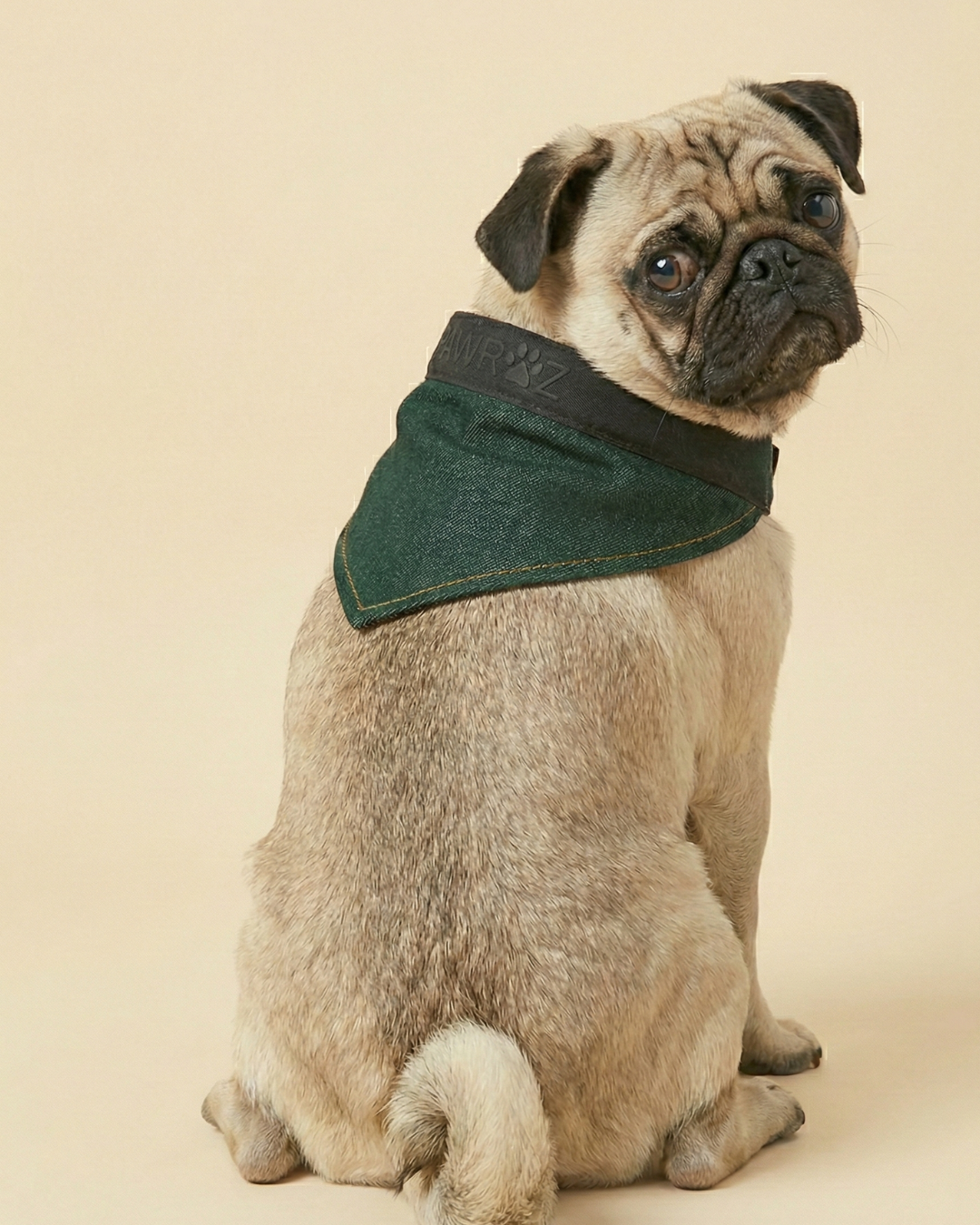 Pawroz Green washed Collar detail Dog Jacket and Bandana set