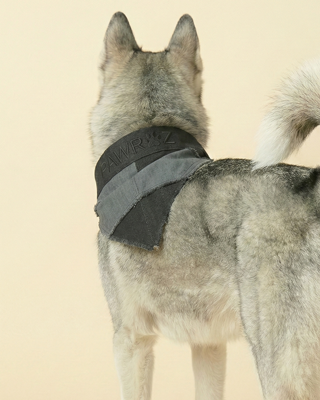 Black and Grey Patched Urban Dog Shaket and Bandana Set