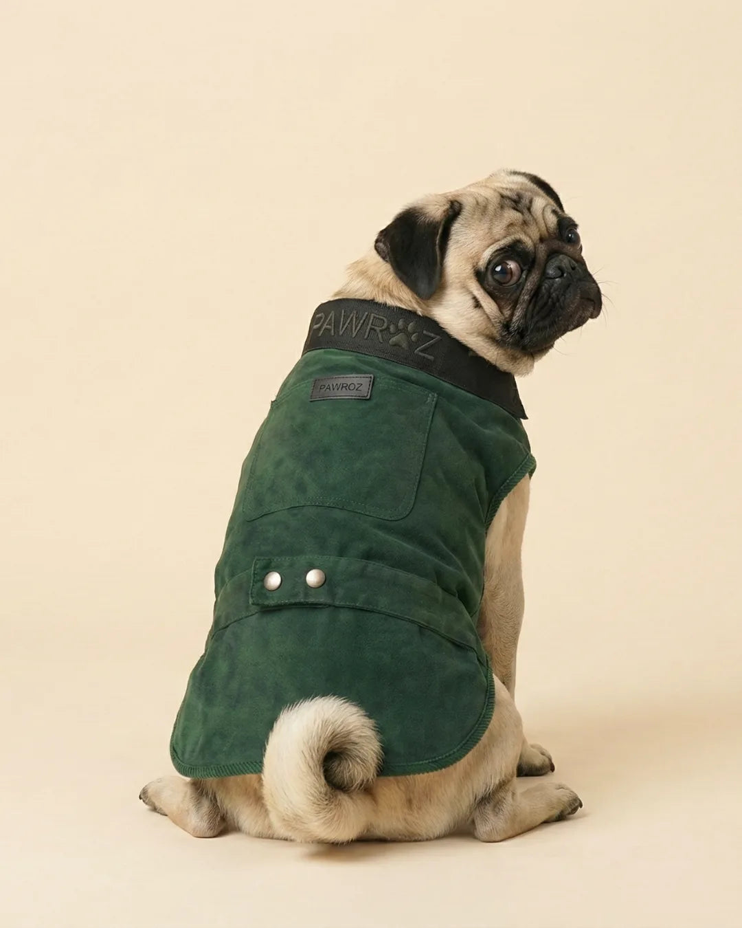 Green Washed Collar Detail Dog Jacket