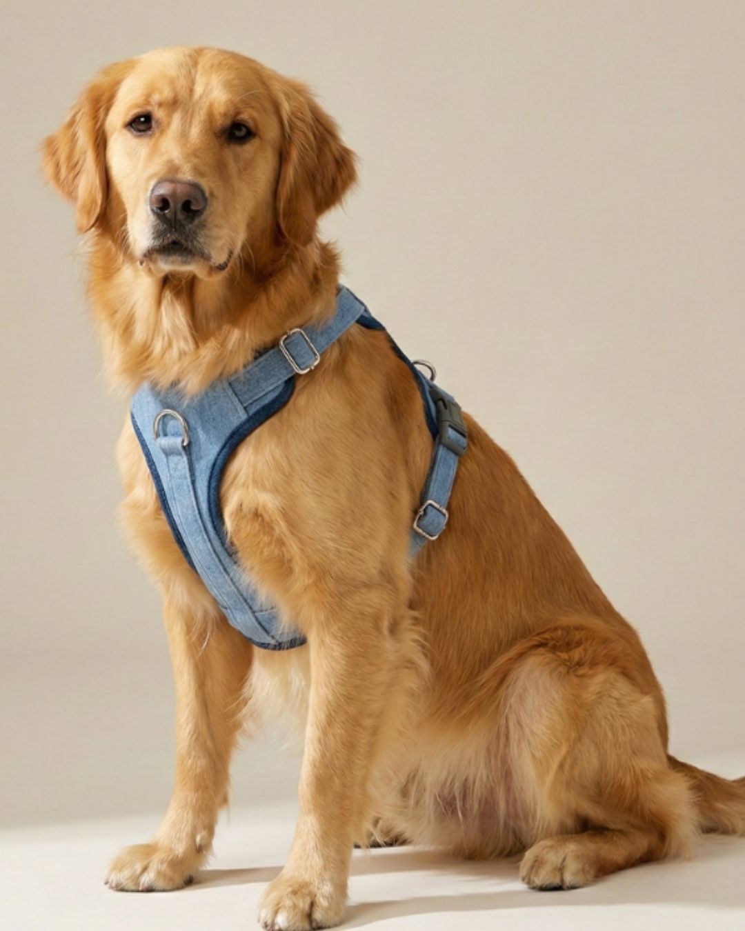 Two-Tone Blue Denim Harness