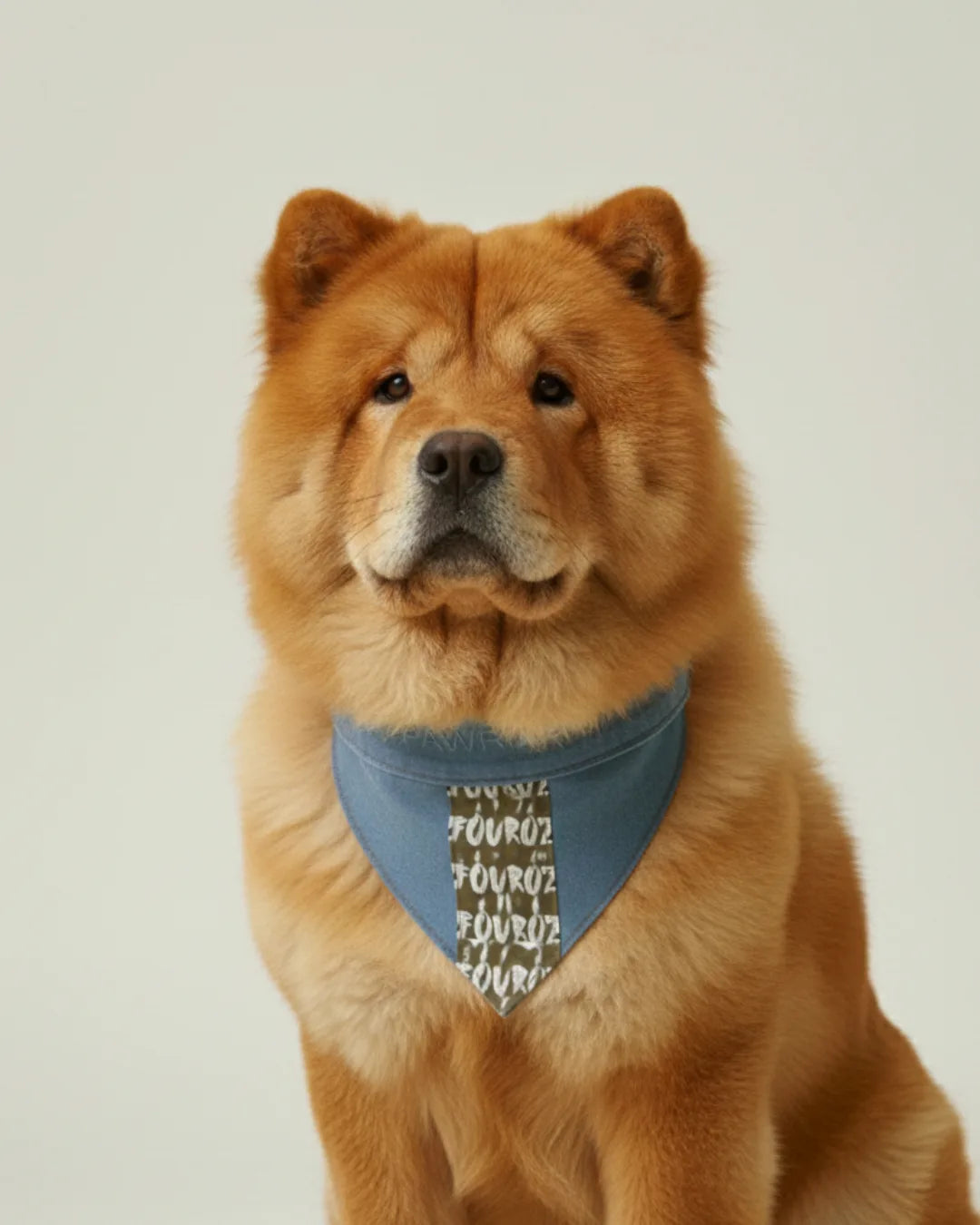 Beige Printed Side Panel Denim Dog Bandana