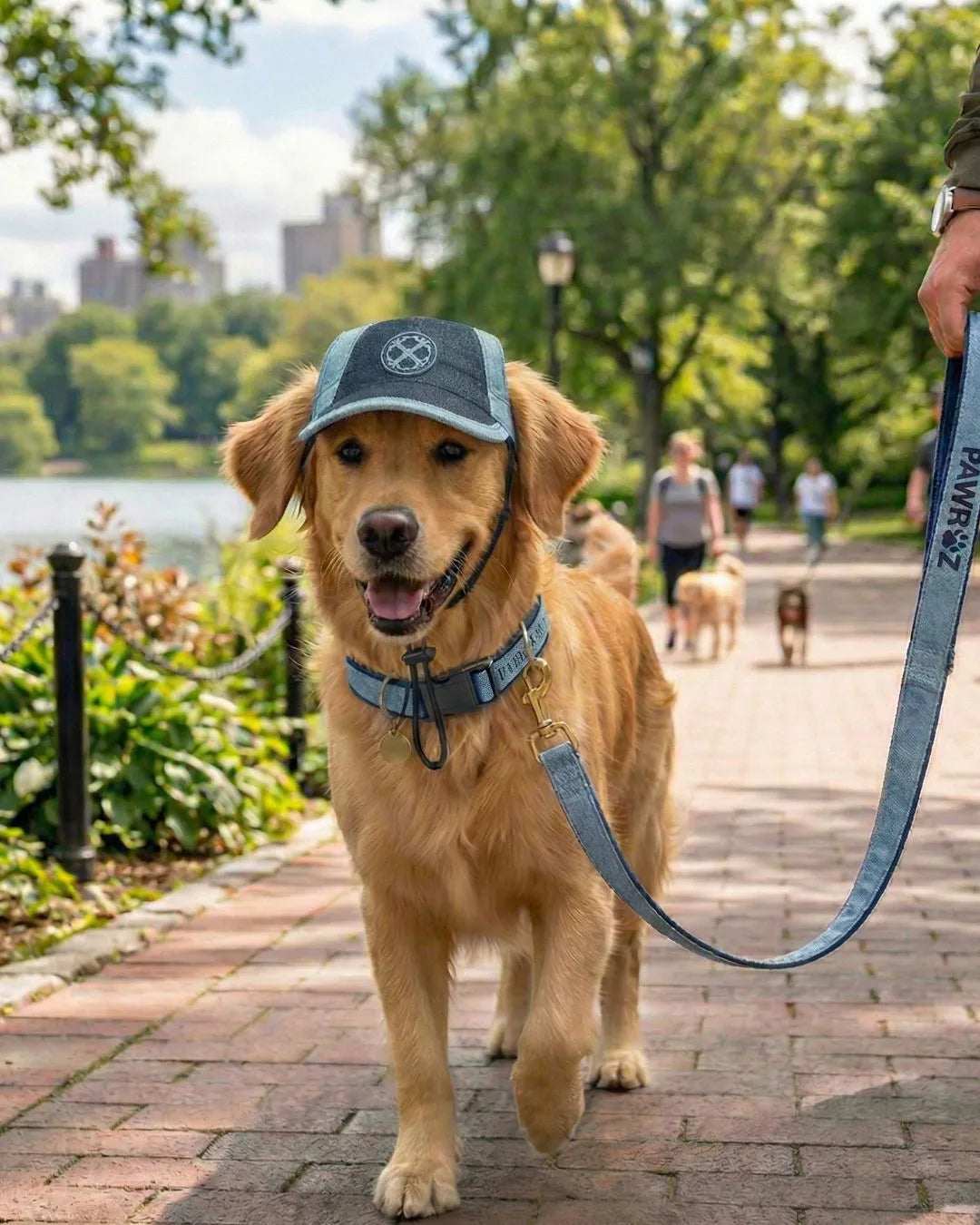 Two-Tone Blue Denim Dog Cap
