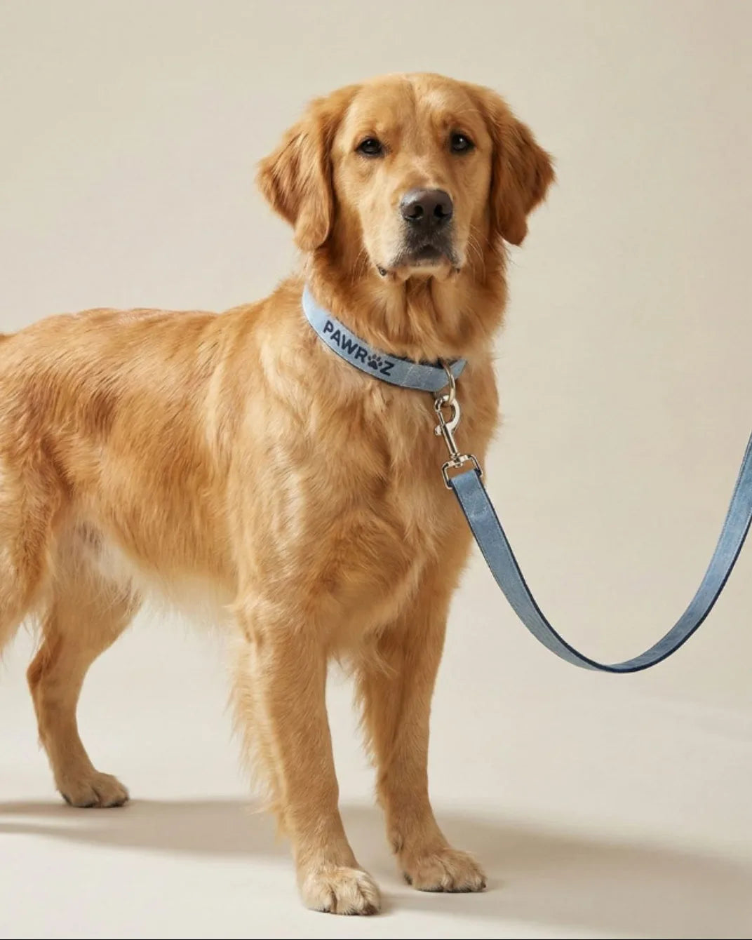 Two-Tone Blue Denim Dog Leash and Collar