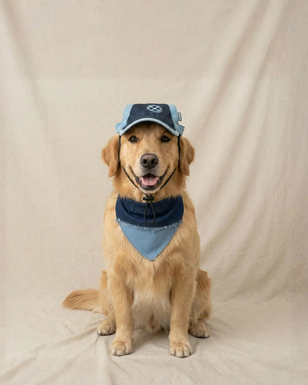 Two-Tone Blue Denim Dog Cap – dog wearing cap