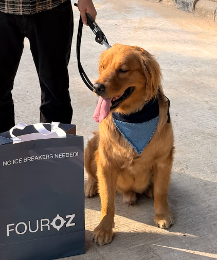 Two Tone Denim Patched Dog Bandana with Fouroz bag