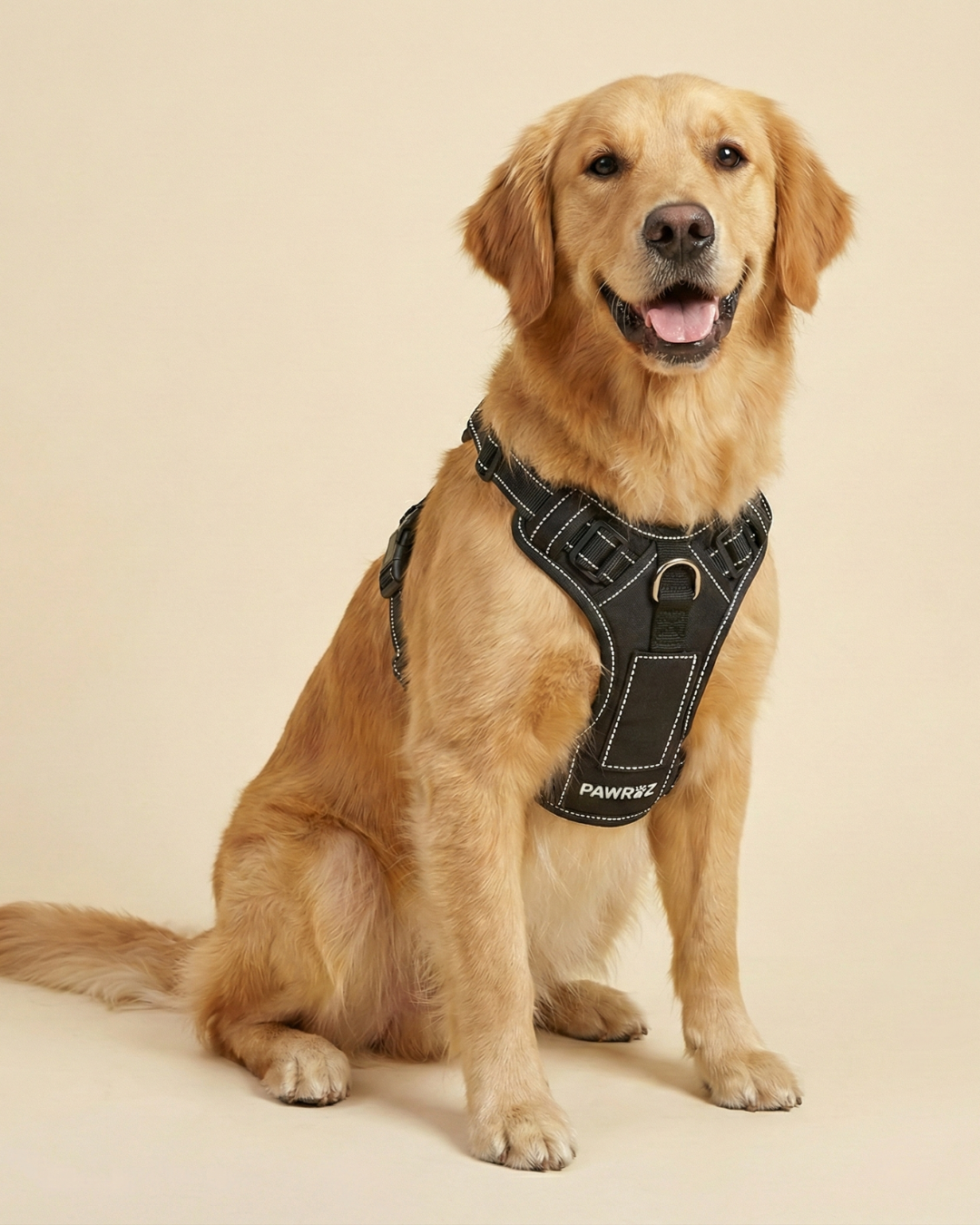3D Black Canvas White-Stitch Harness