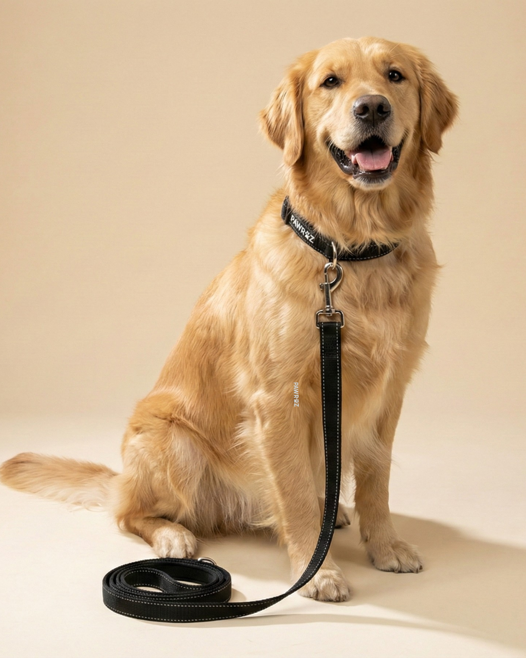 3D Black Canvas White-Stitch collar and Leash