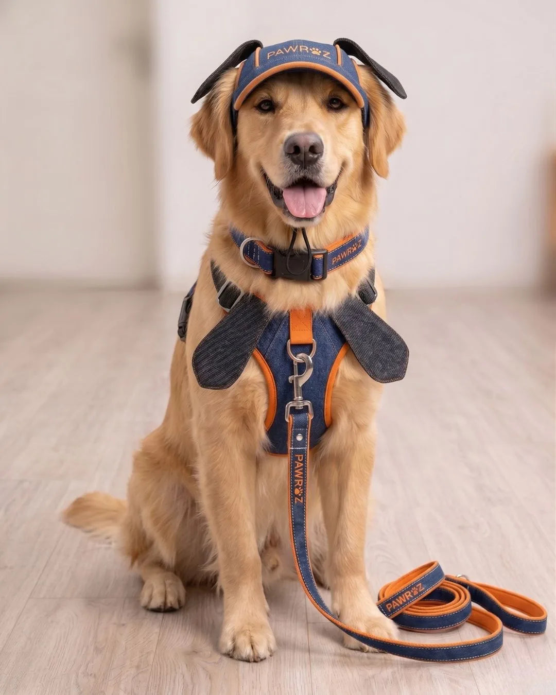 Navy Orange Goofy Play Dog Cap