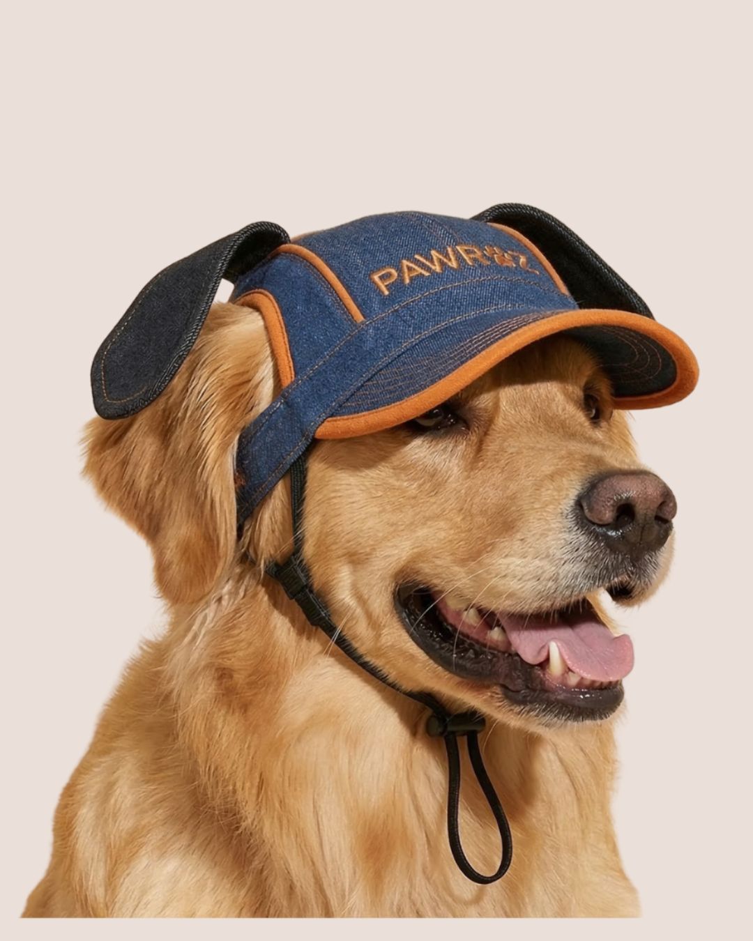 Navy Orange Goofy Play Dog Cap
