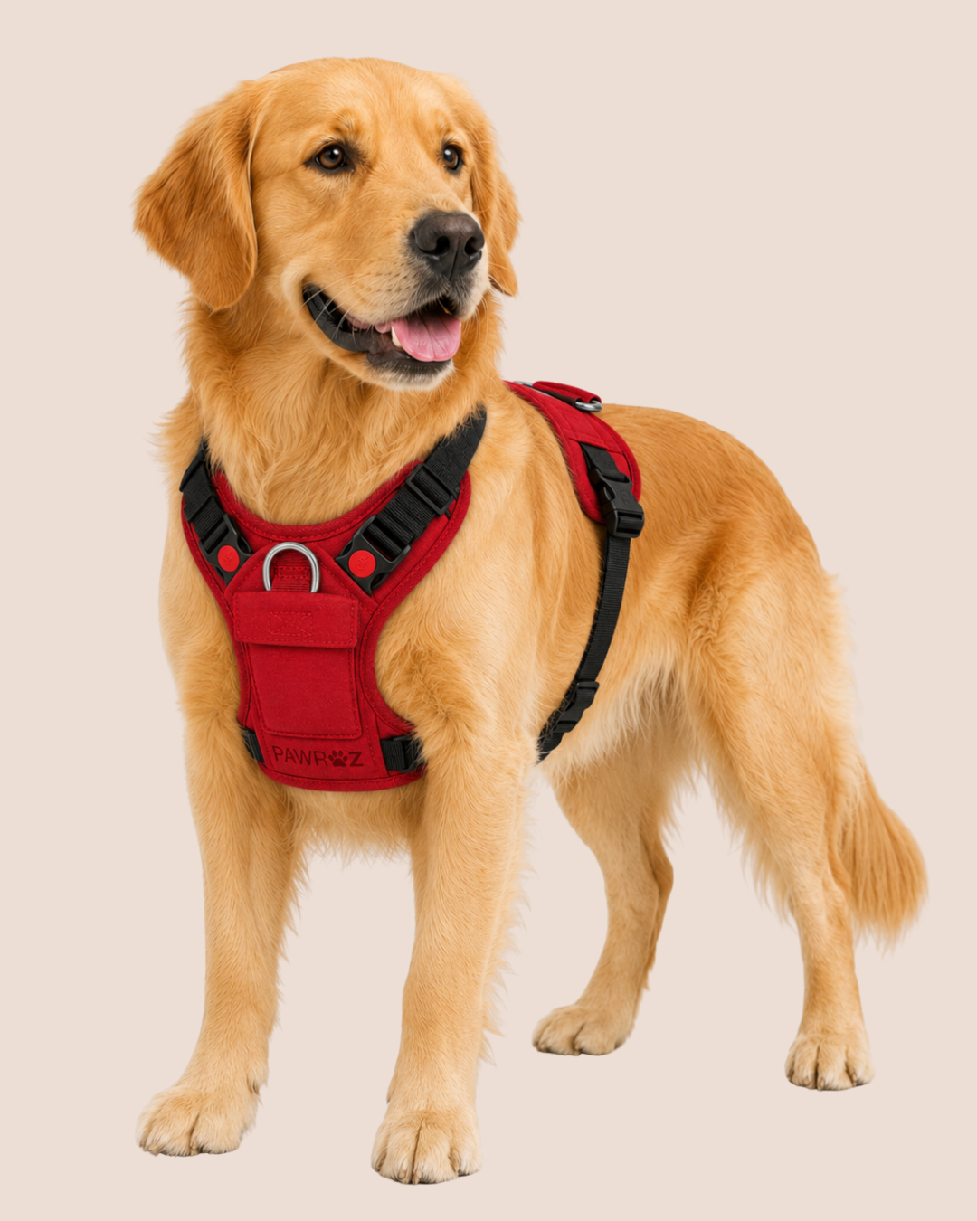 Red Terrain Explorer Harness