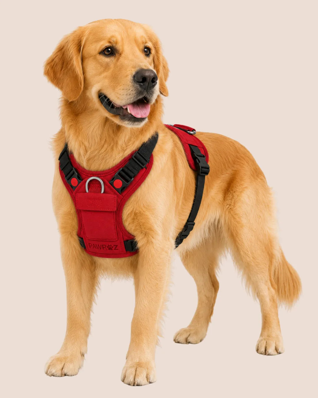 Red Terrain Explorer Harness