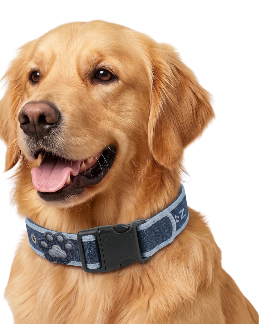 PAWROZ Signature Two Tone Paw Collar and leash