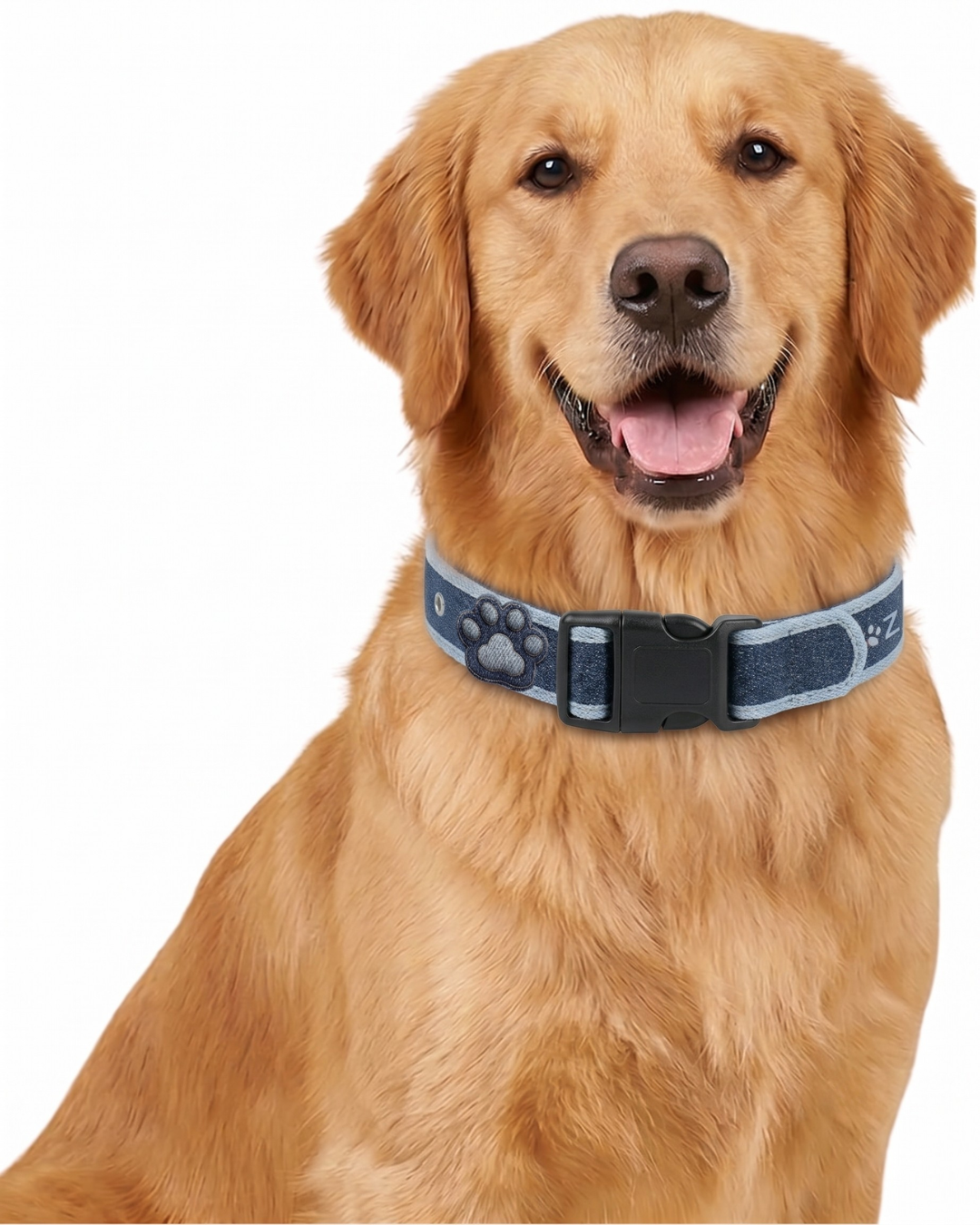 PAWROZ Signature Two Tone Paw Collar and leash