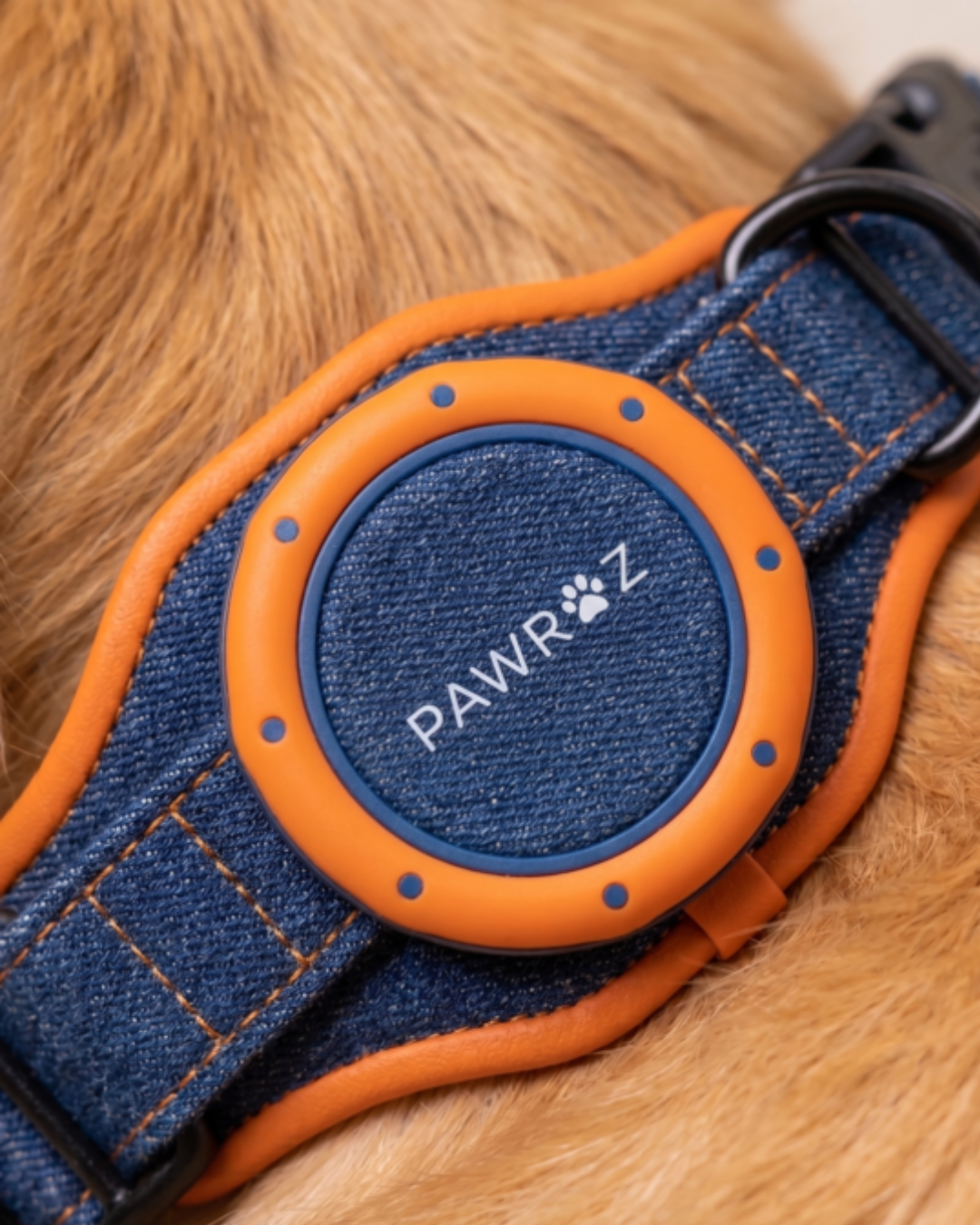 Royal Pup Dog Collar & Leash