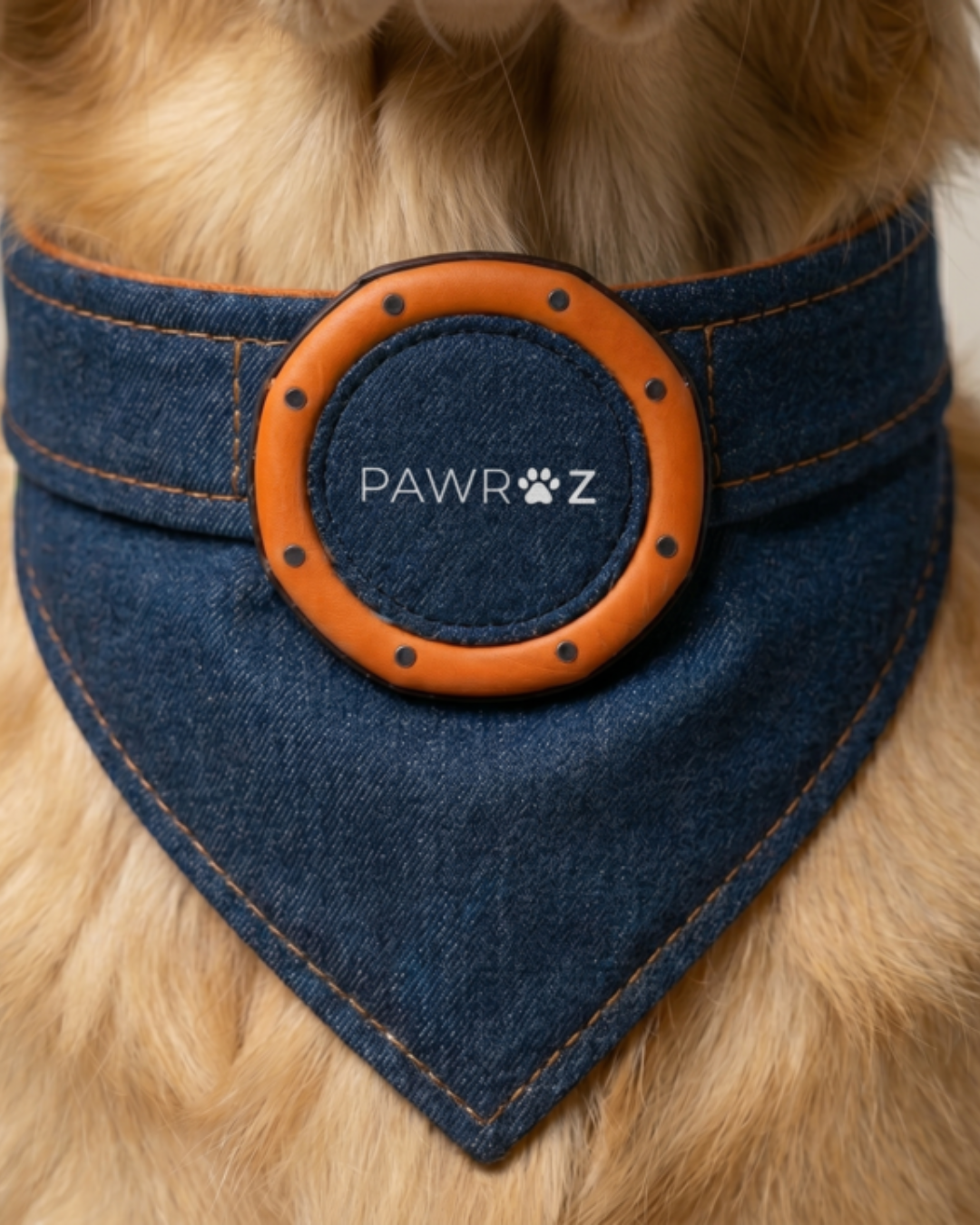 Royal Pup Dog Bandana