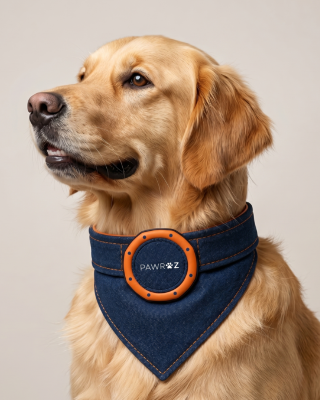 Royal Pup Dog Bandana