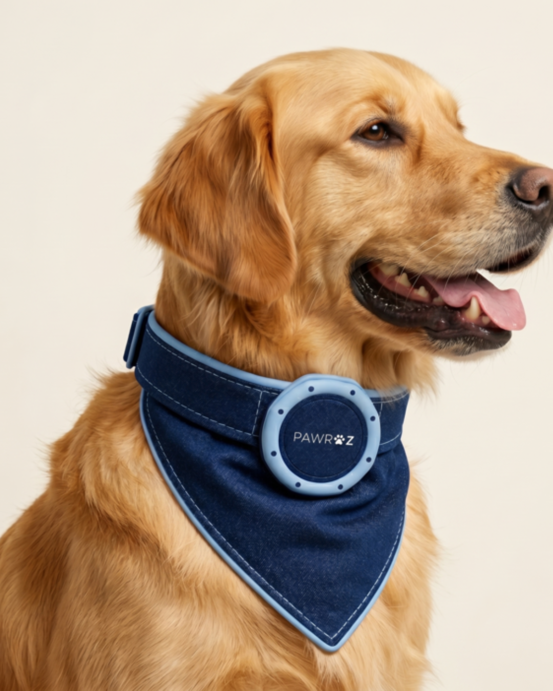 Royal Pup Dog Bandana