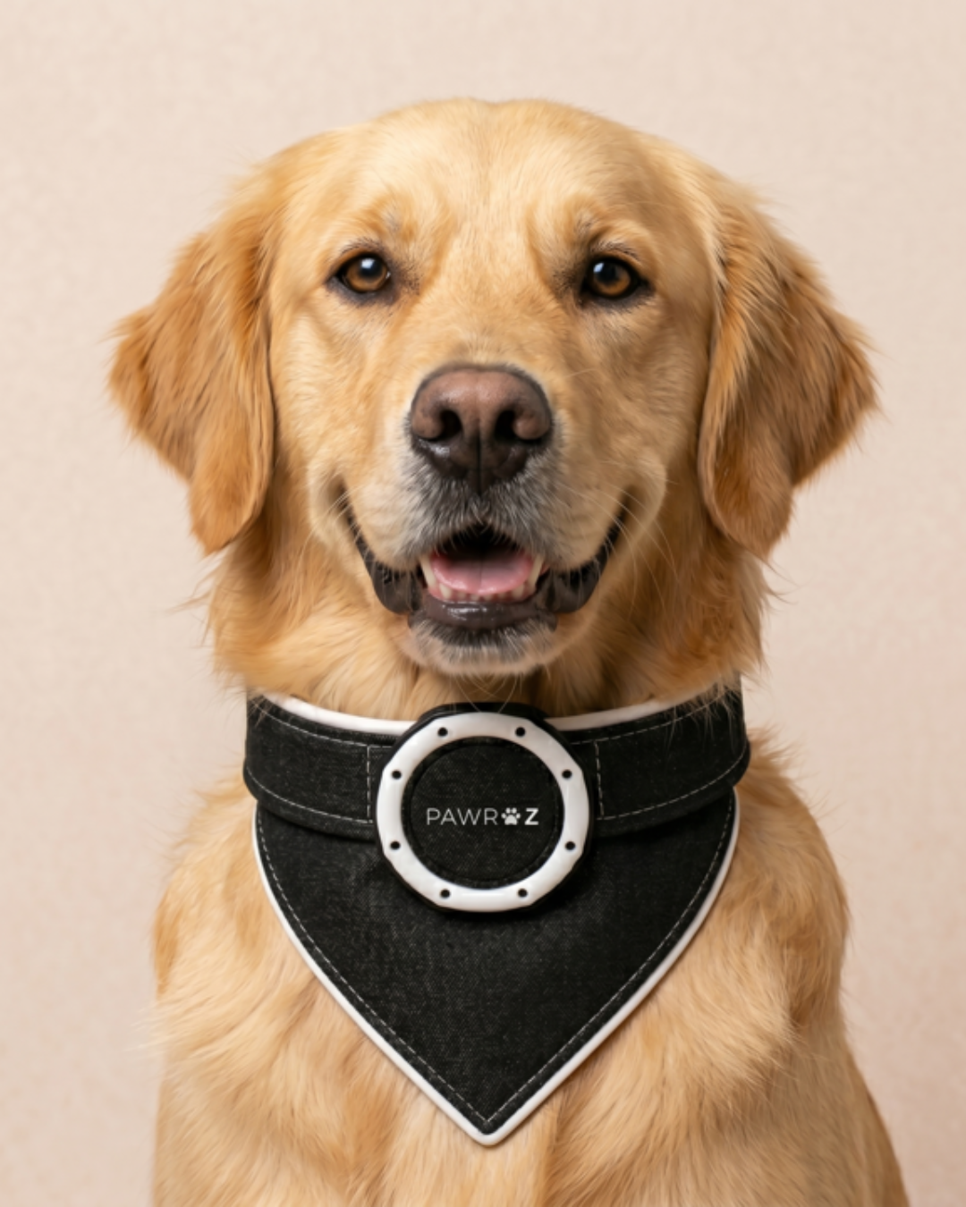 Royal Pup Dog Bandana