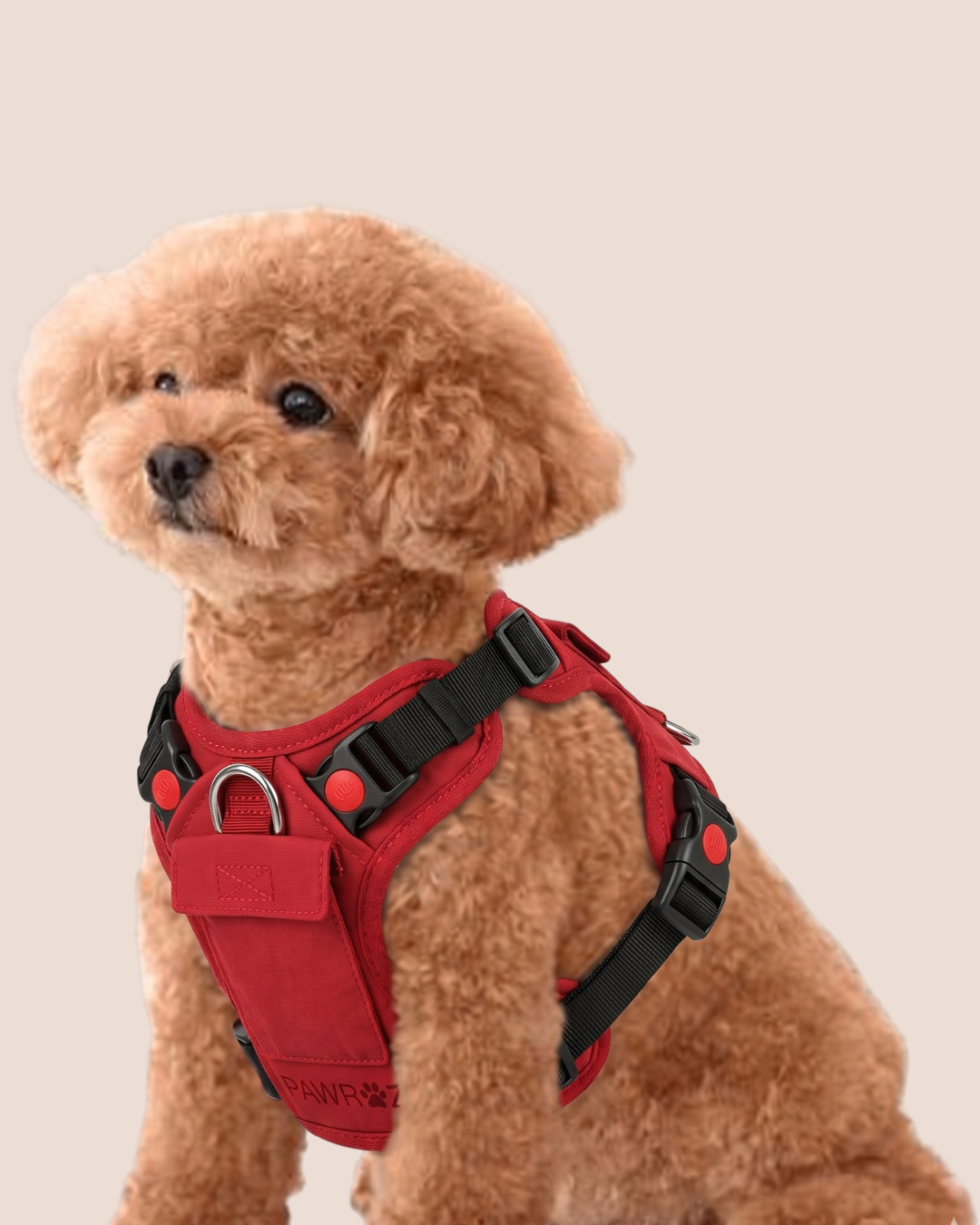 Red Terrain Explorer Harness