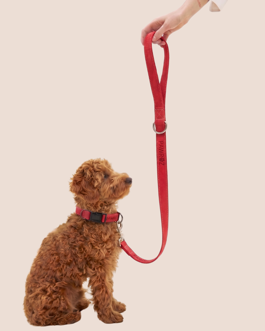 Red Terrain Explorer Collar and Leash