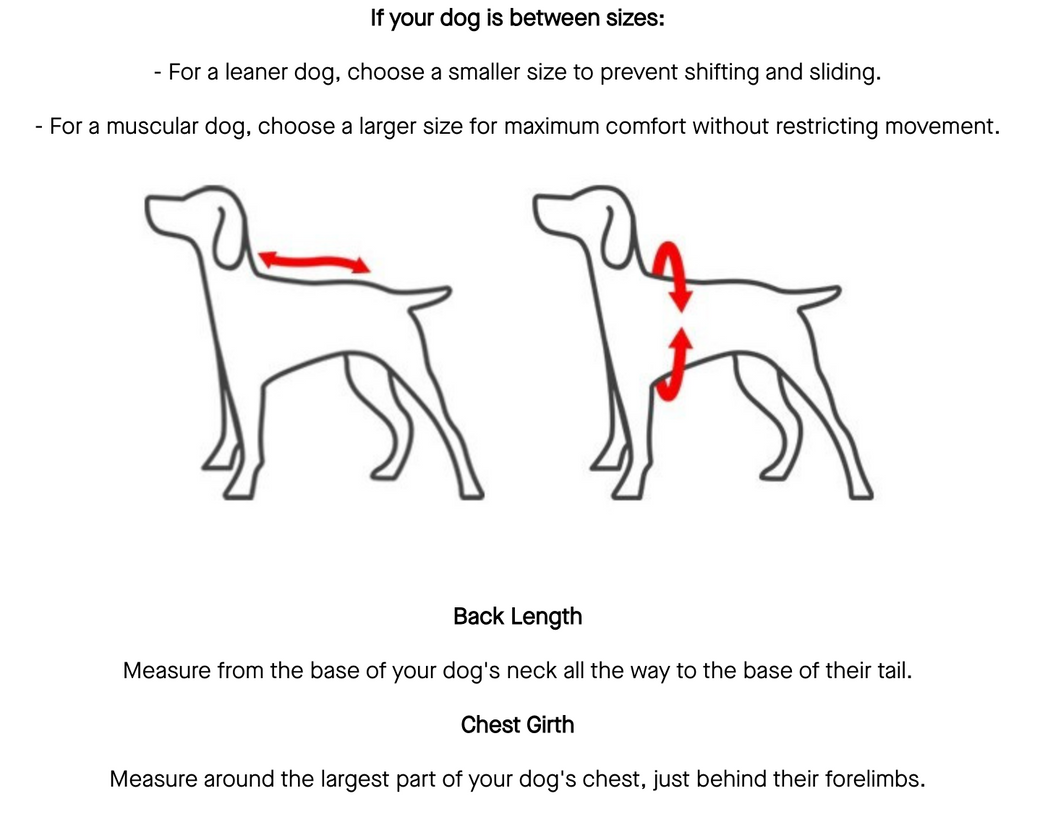 How to measure your dog