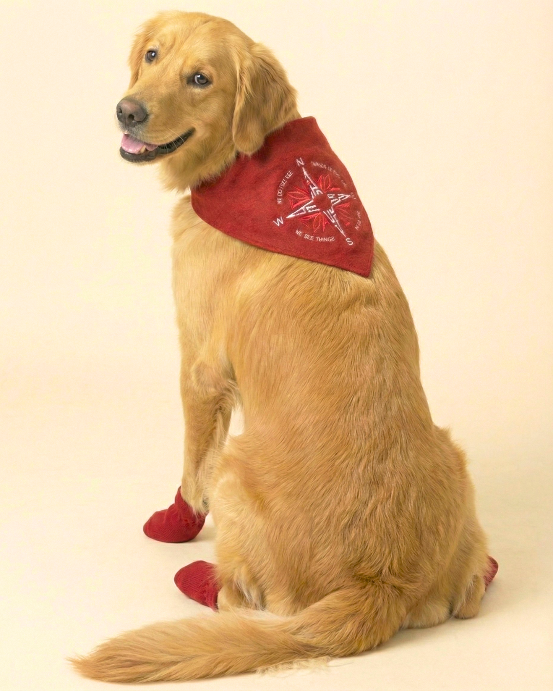 Pawroz Red Compass Bandana & 4 Socks Set