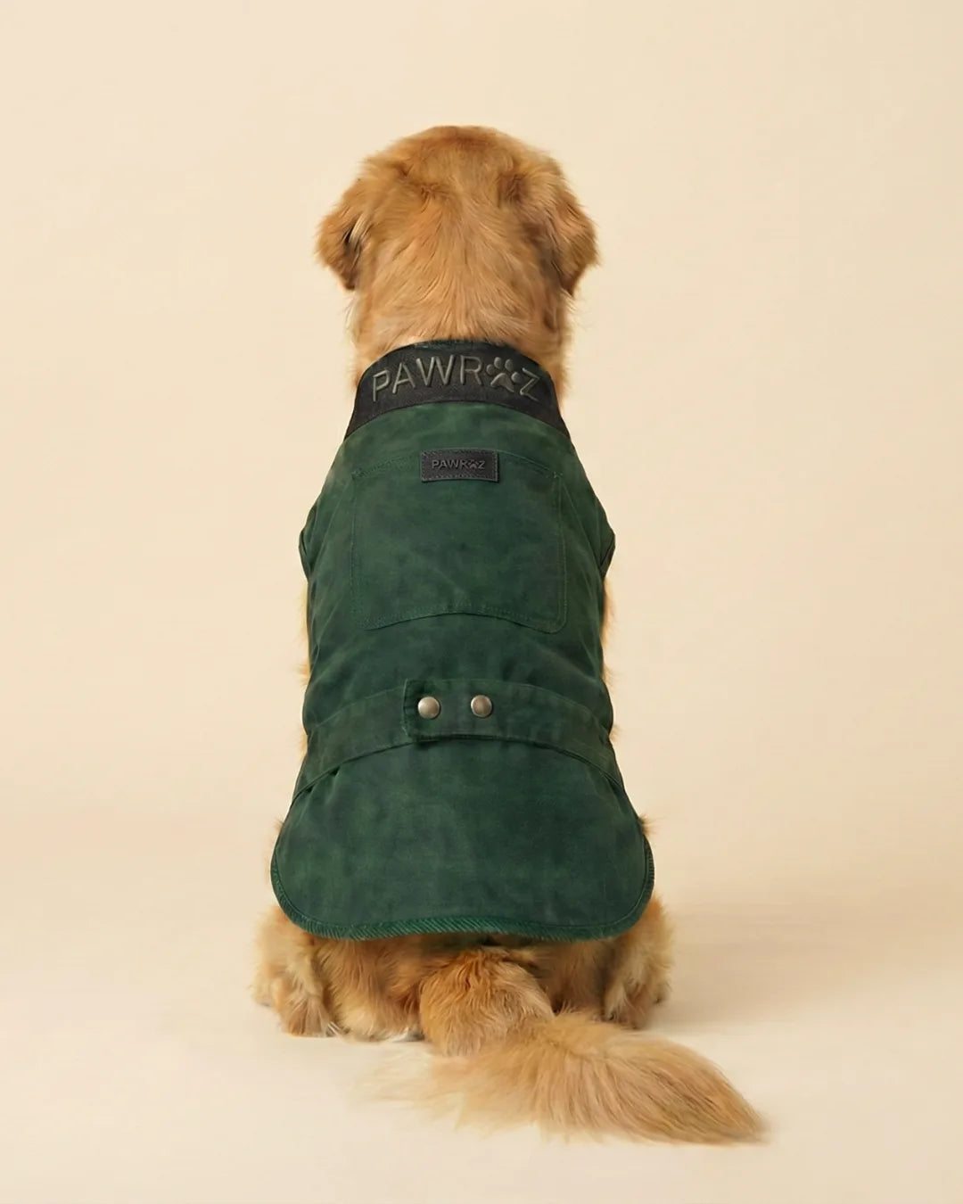 Green Washed Collar Detail Dog Jacket