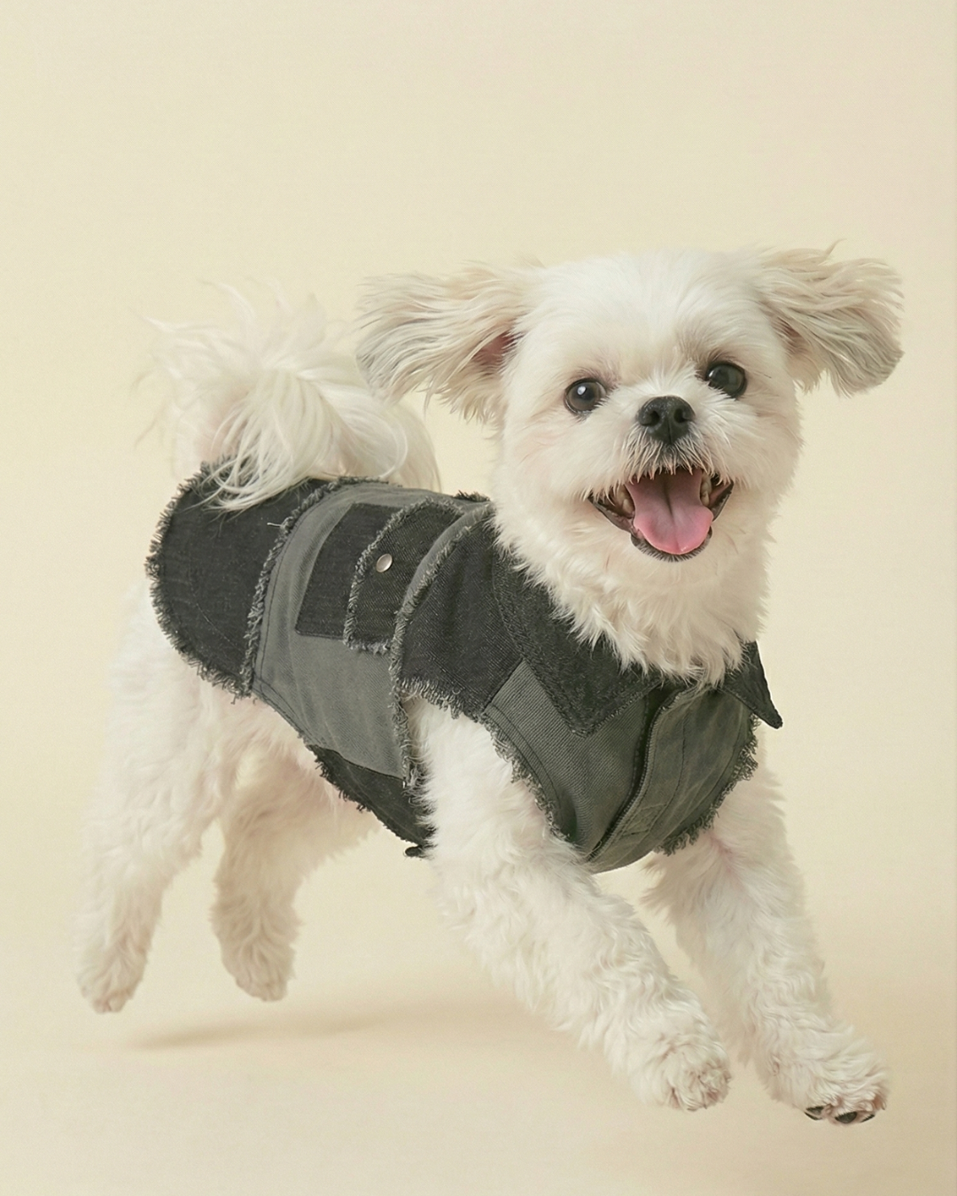 Black and Grey Patched Urban Dog Shaket and Bandana Set