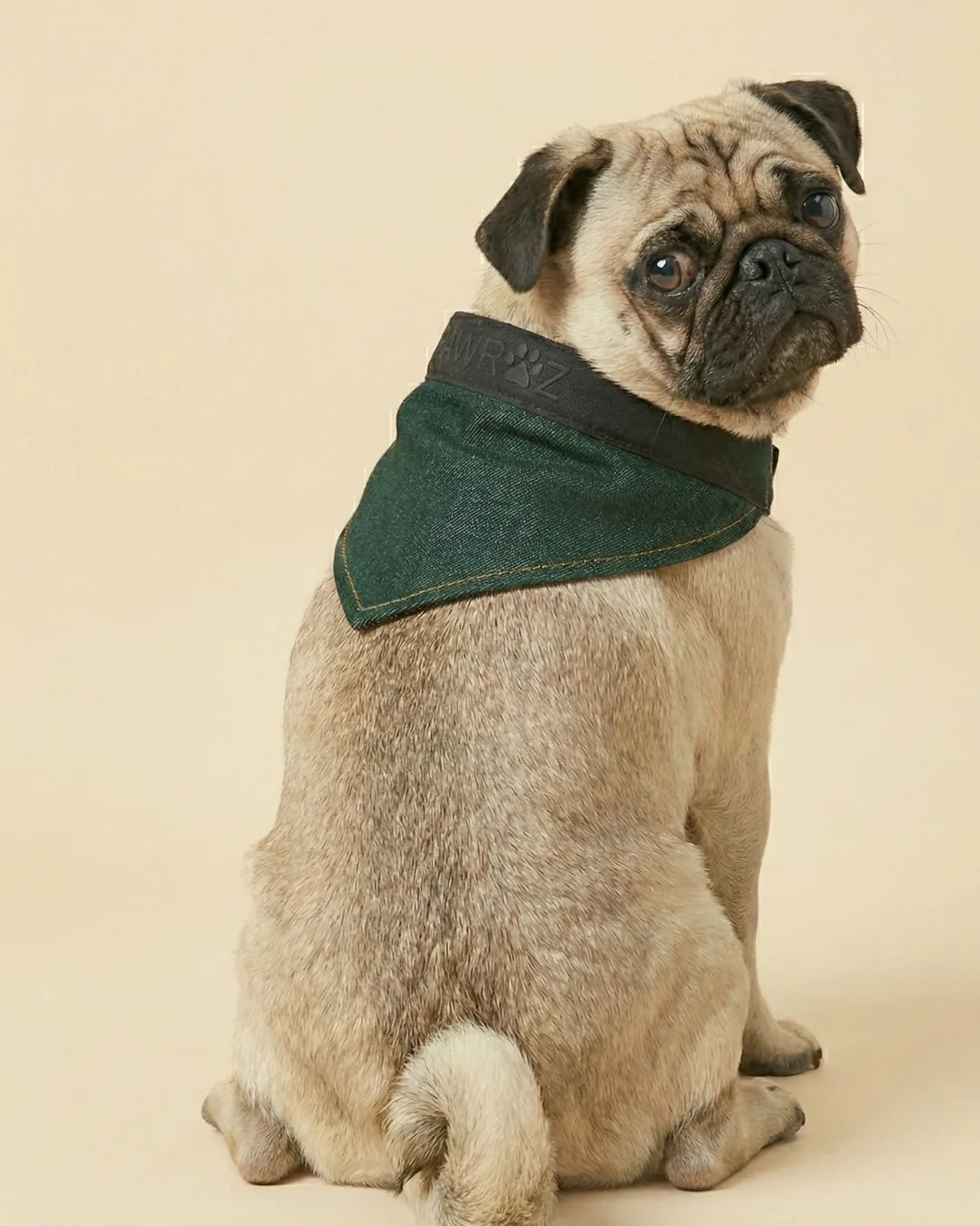 Green Washed Collar Detail Dog Jacket