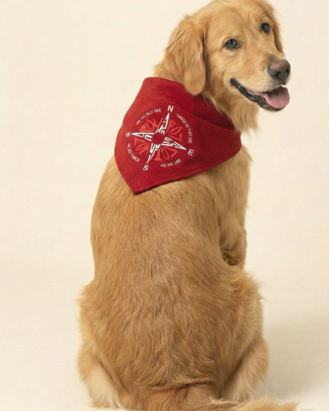 Pawroz Red Compass Bandana & 4 Socks Set