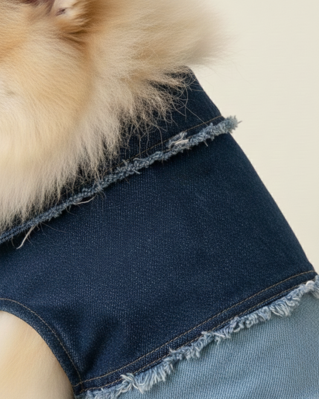 Two-Tone Blue Denim Jetsetter Dog Jacket