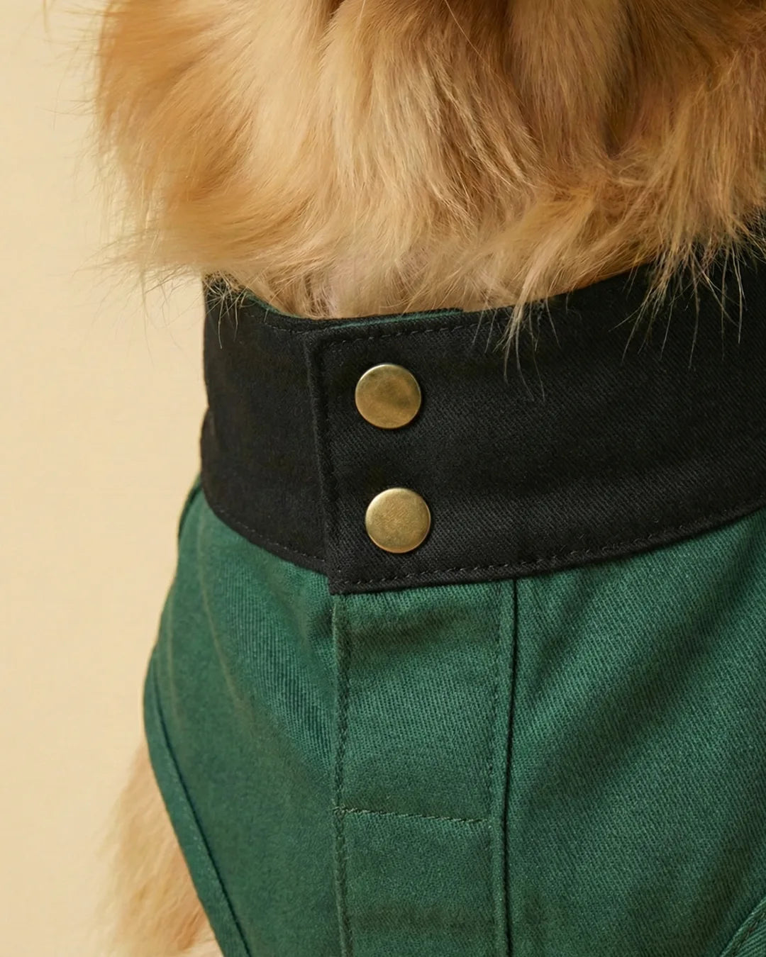 Green Washed Collar Detail Dog Jacket
