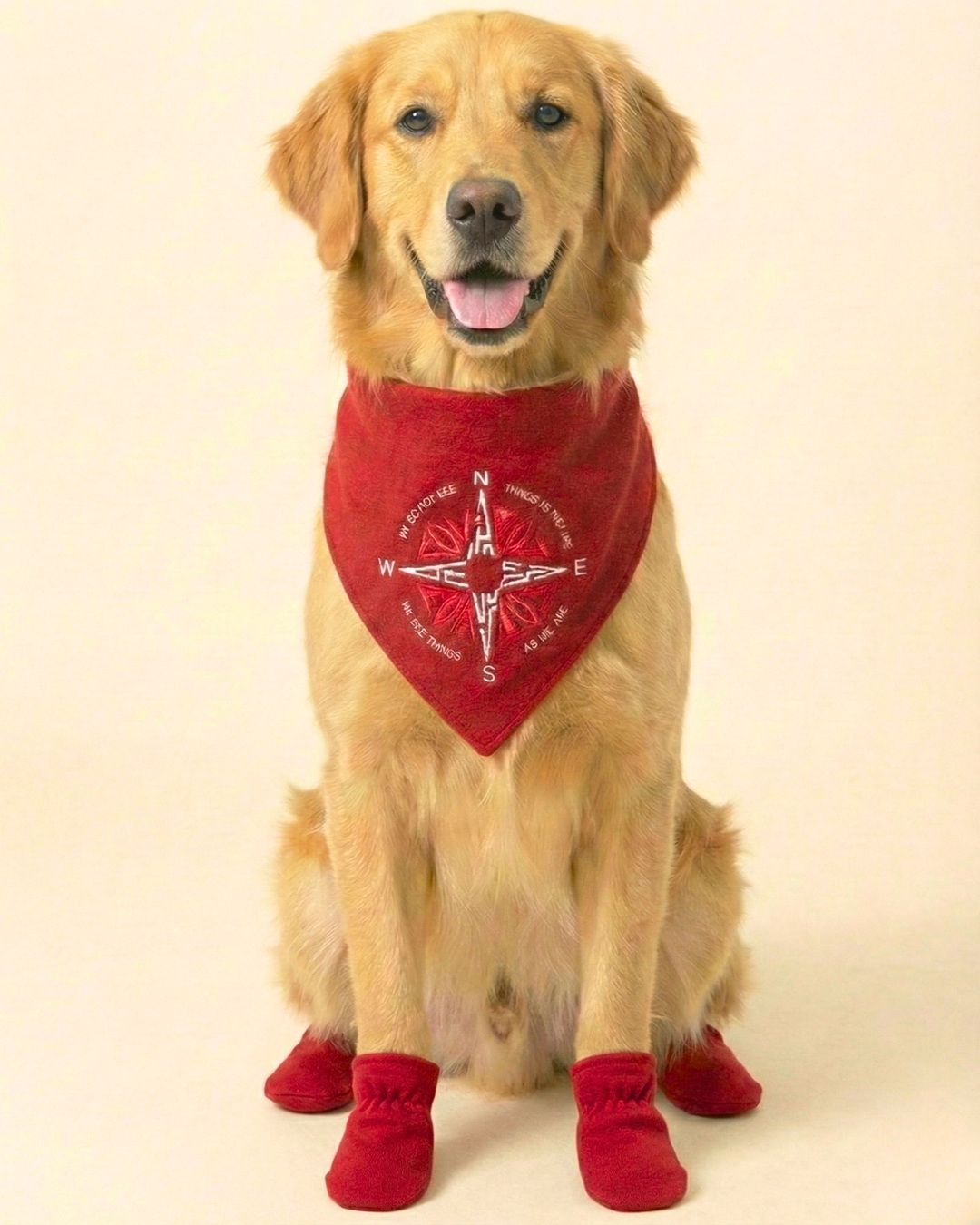 Pawroz Red Compass Bandana & 4 Socks Set