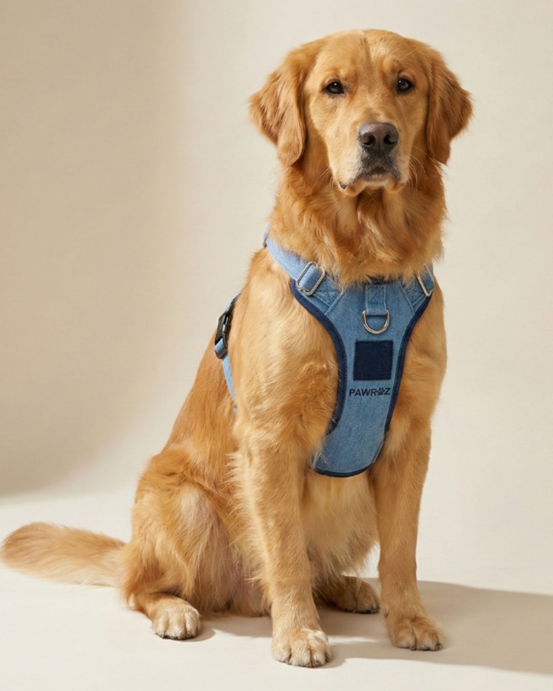 Two-Tone Blue Denim Harness