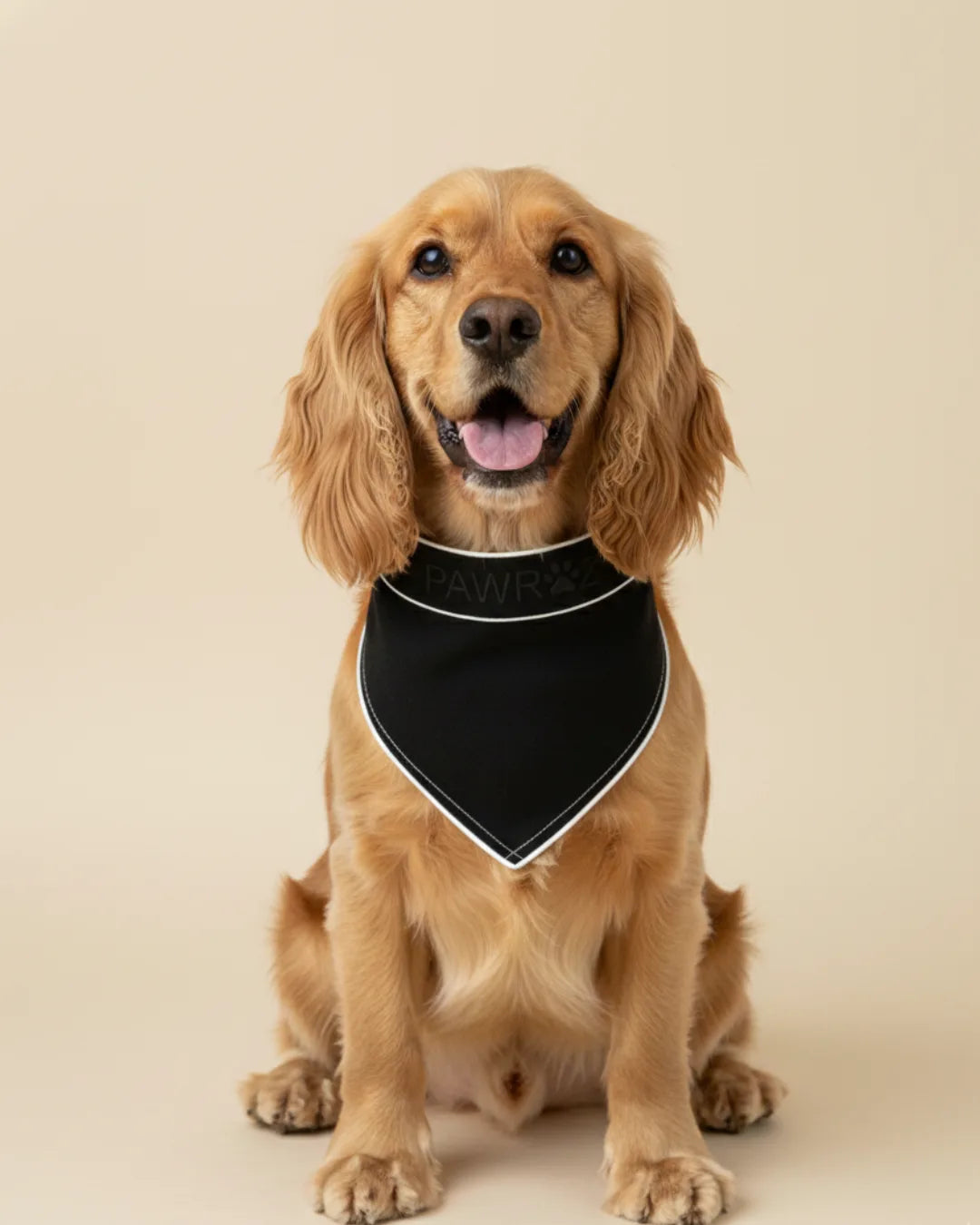 Black Contrast Stripe Dog Bandana