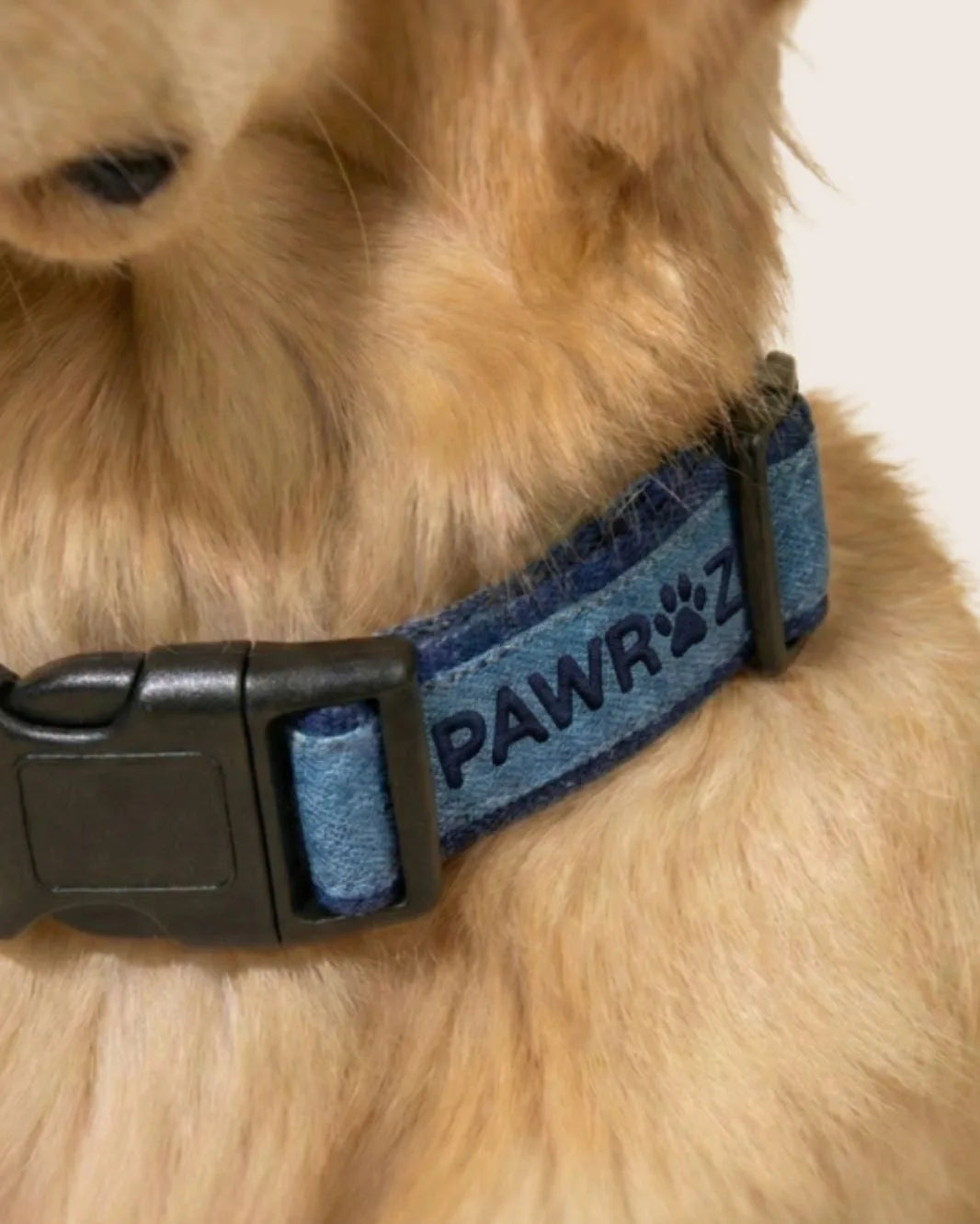 Two-Tone Blue Denim Dog Leash and Collar