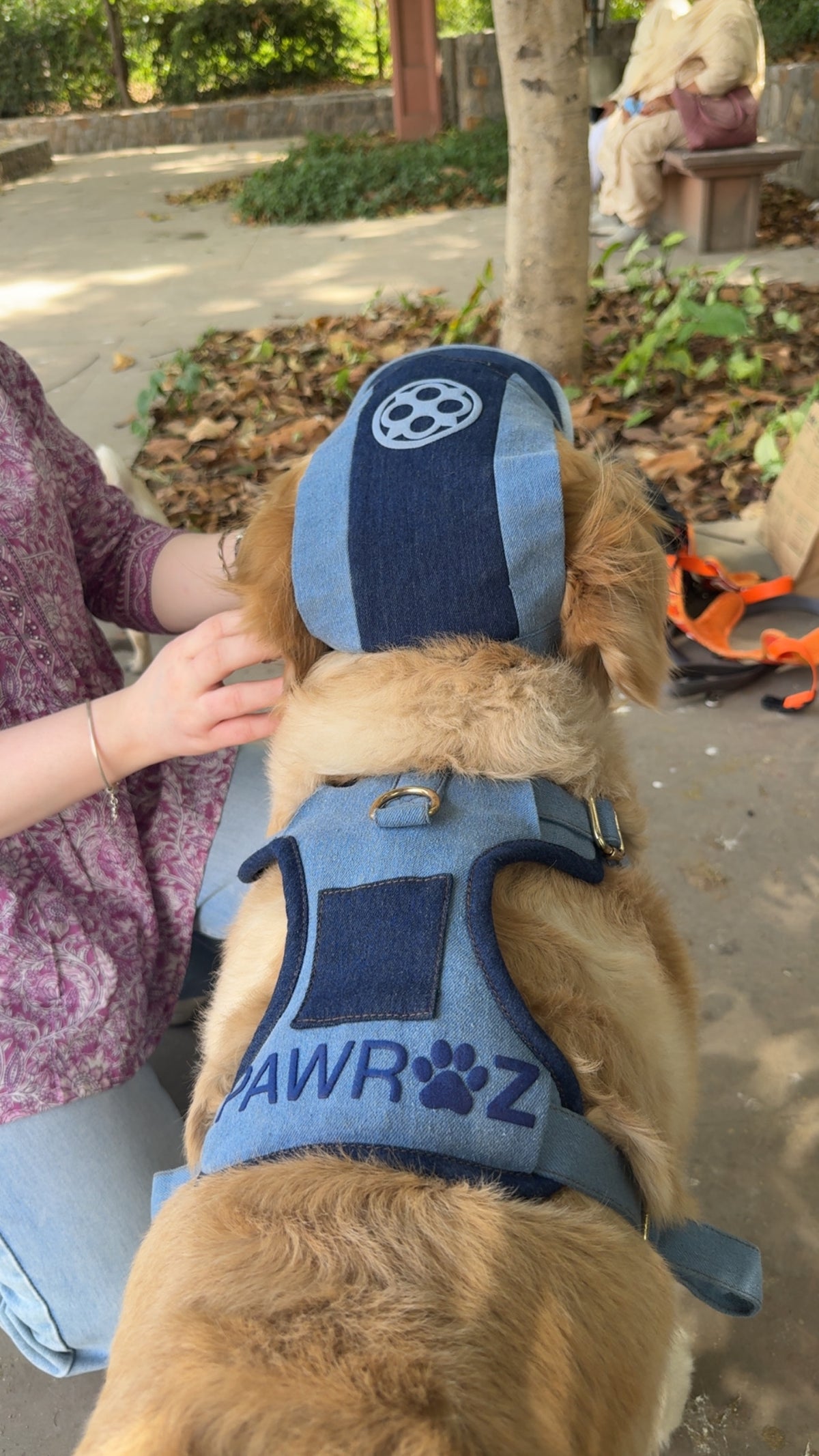 Two-Tone Blue Denim Dog Harness, Pawroz logo on the back